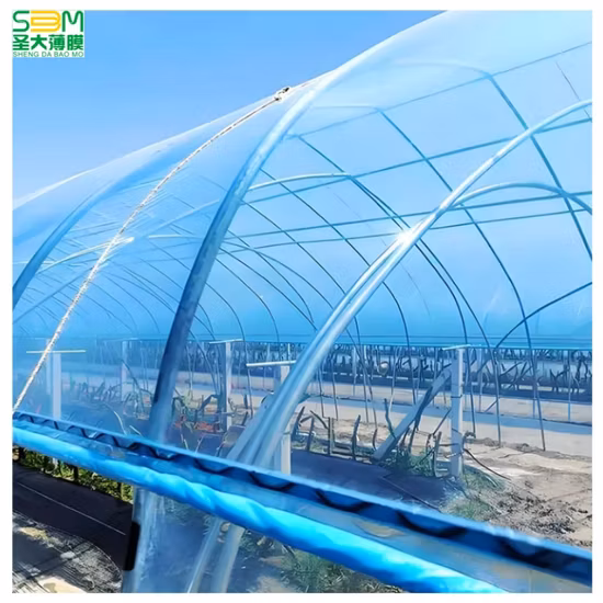 Filme de estufa de PTFE Filme de efeito estufa agrícola